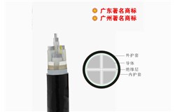 YJLV22-0.6/1kV花城電纜 YJLV22-0.6/1kV花城電纜